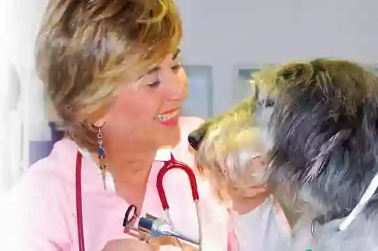 Ambulatorio Veterinario D.ssa Maria Teresa Miletto