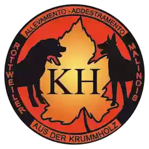 Allevamento Rottweiler e Pastore malinois TORINO ausderKrummholz- centro cinofilo la tana dei lupi