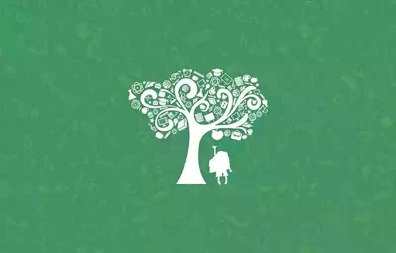 The Giving Tree | Asilo nido bilingue Torino