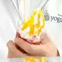 Yoyogurt