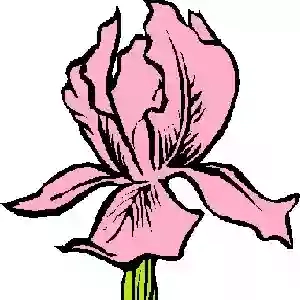 La collina delle iris