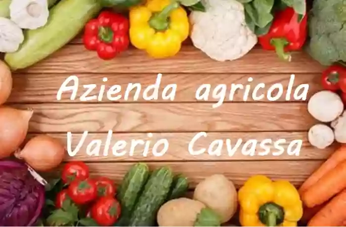 Valerio Cavassa Azienda Agricola