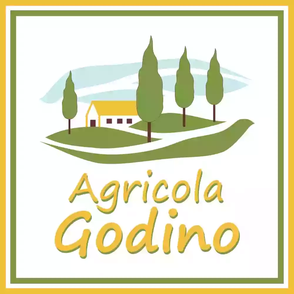 b&b AGRICOLA GODINO, maneggio, passeggiate a cavallo, pensione cavalli, Monferrato