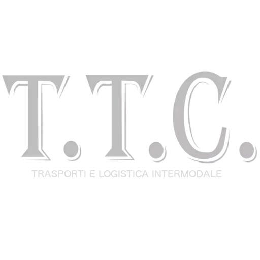 Torino Terminal Container