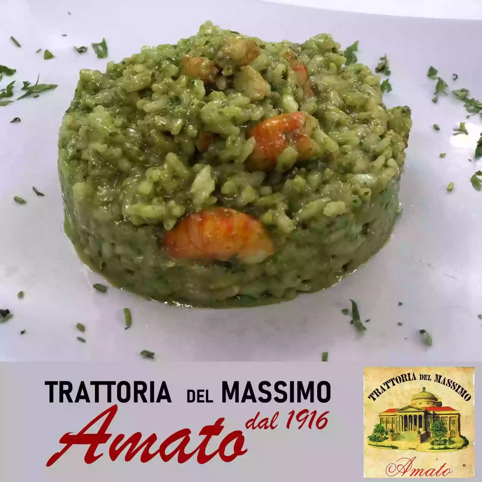 Trattoria del Massimo