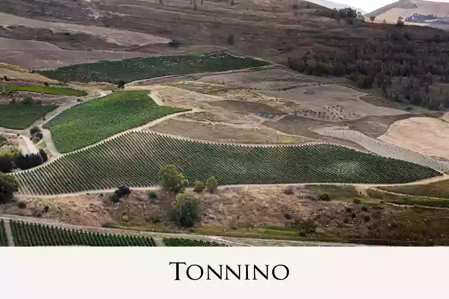 Tonnino Winery Italia
