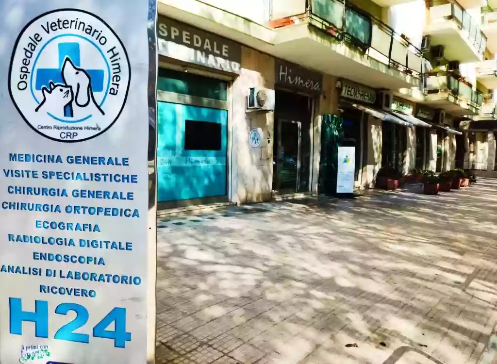 Ospedale Veterinario Himera