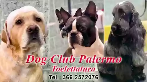 DogClubPalermo