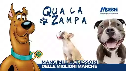 Qua la Zampa