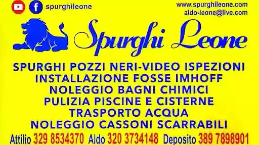 SPURGHI LEONE