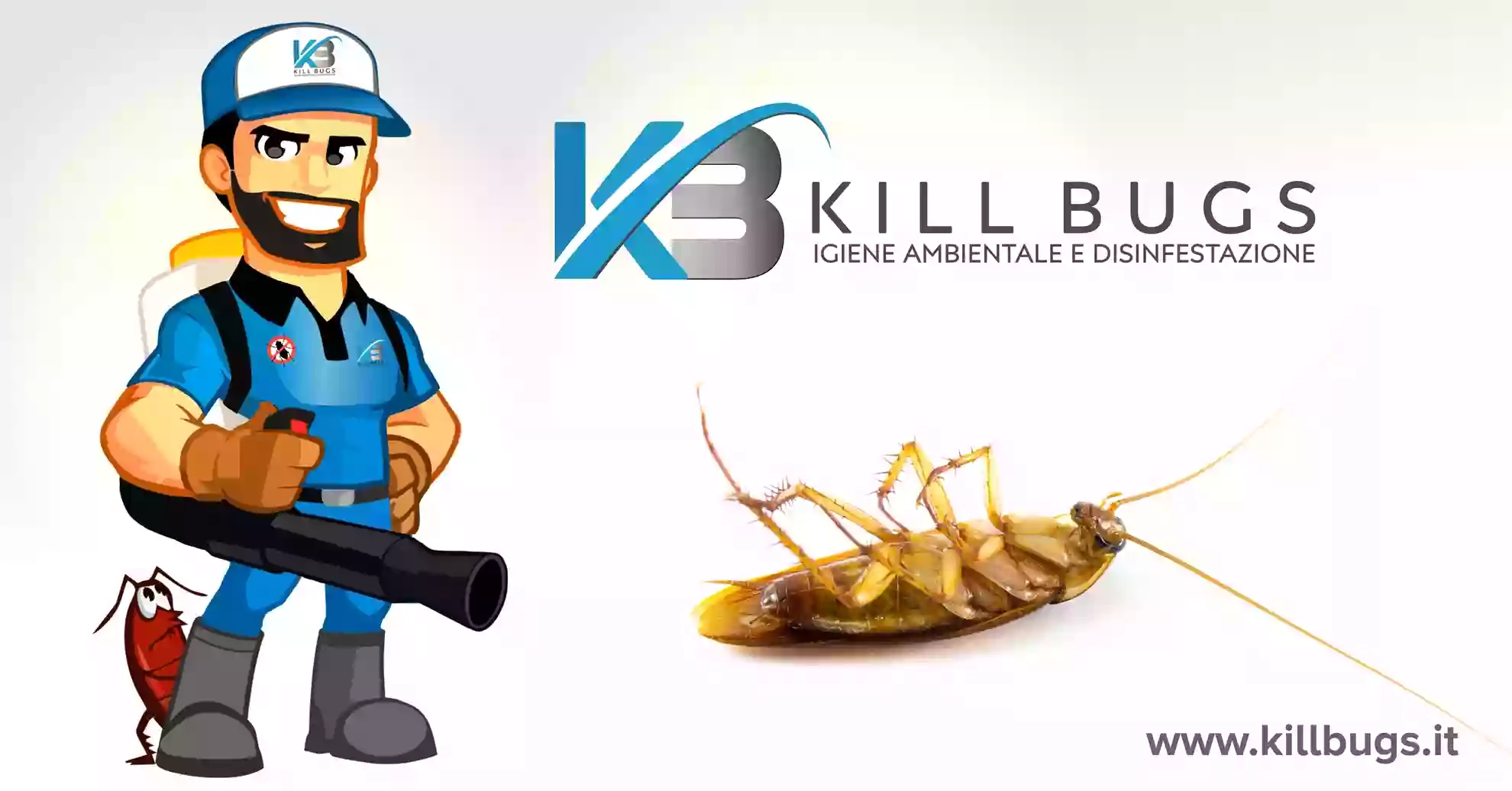 Kill Bugs