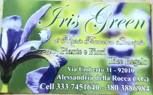 Fioreria iris Green Bosciglio