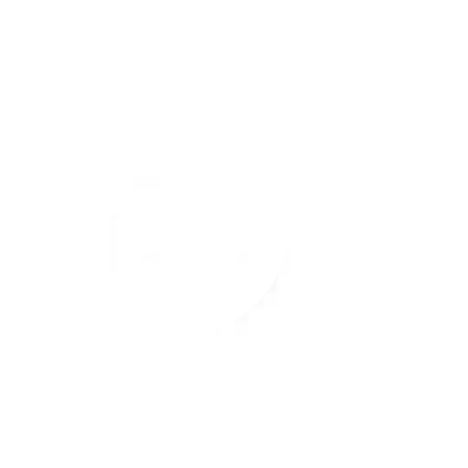 NCC Palermo Cinisi - Damiano Tour Cinisi Palermo