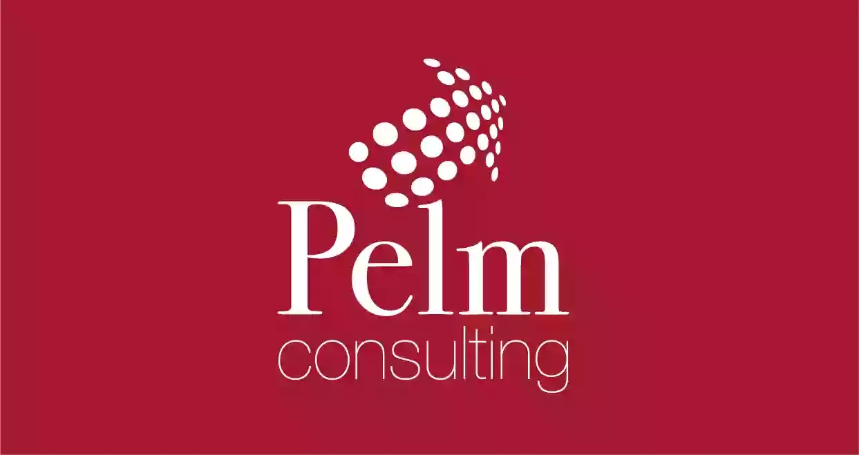 P.E.L.M. Consulting Snc