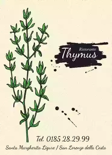 Thymus