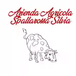 Azienda Agricola Spallarossa Silvia