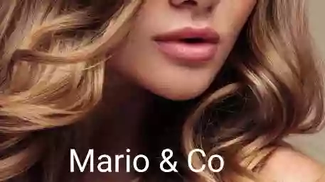MARIO & CO. HAIR PROFESSIONAL