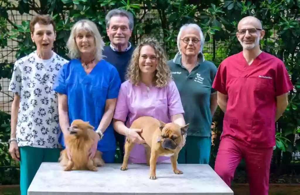 Ambulatorio Veterinario Siegel, Finetti, Porro, Rocca