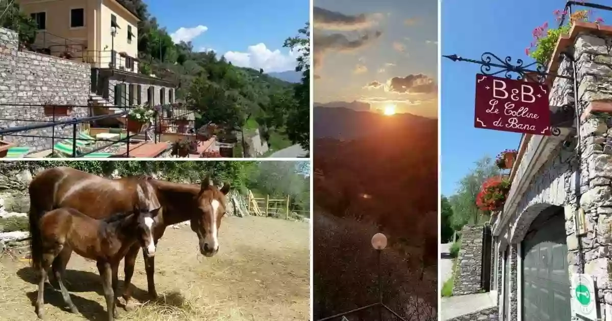 B&B Le Colline di Bana - Camogli