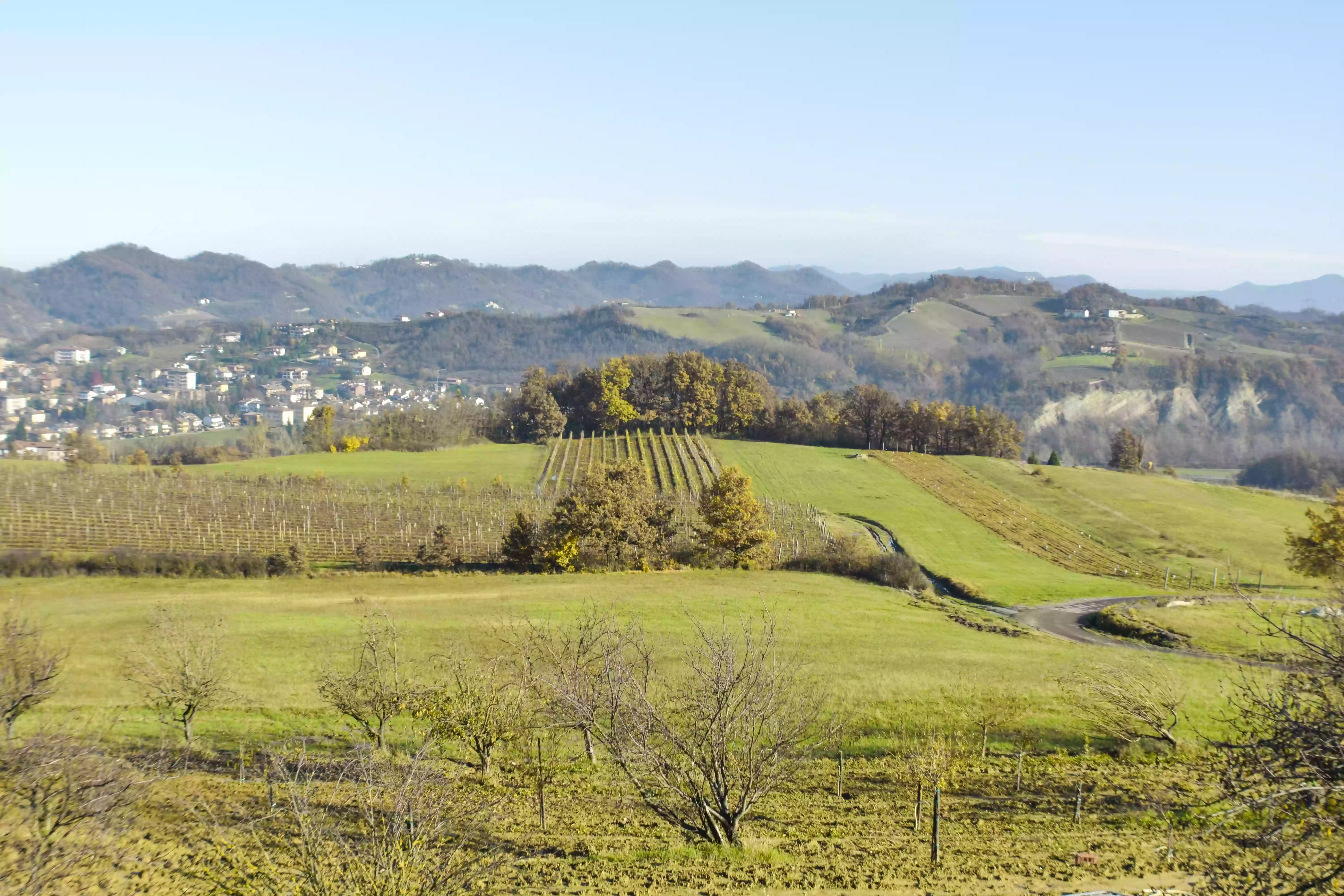 Vista sul forte