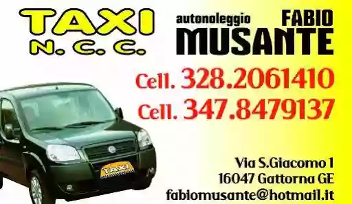 TAXI NCC Gattorna Fabio Musante