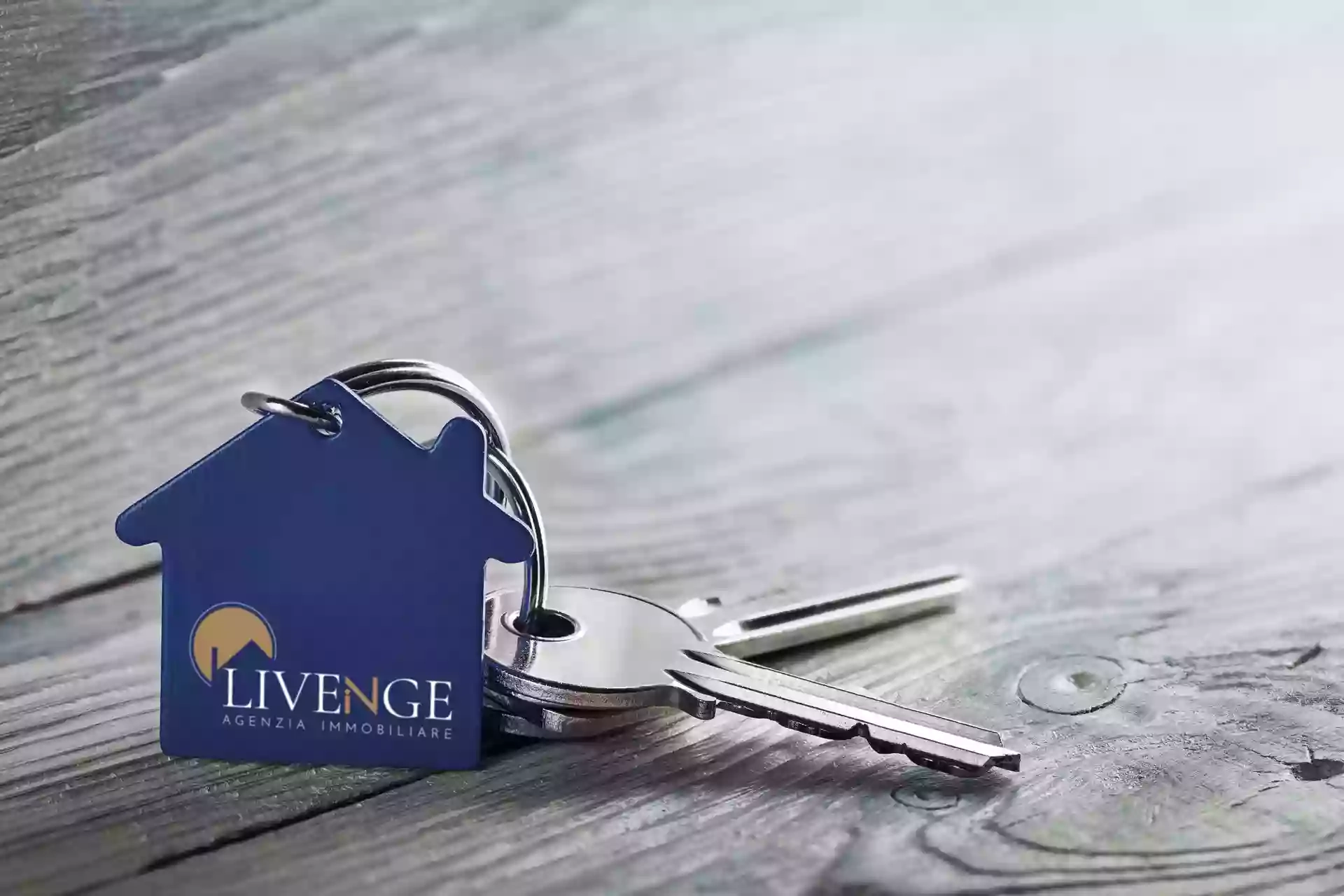 LiveInGe Agenzia Immobiliare