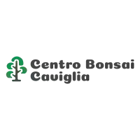 Centro Bonsai Caviglia