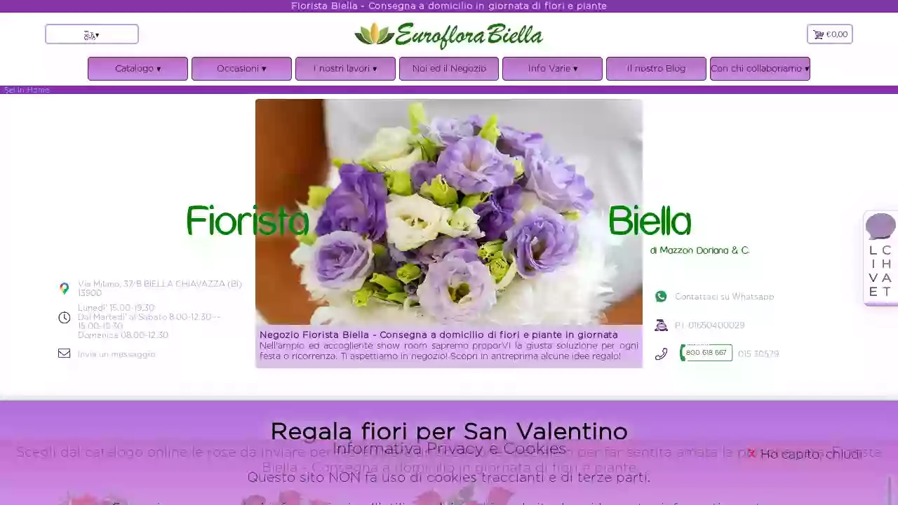 Euroflora Biella s.n.c. piante e fiori, anche consegna a domicilio
