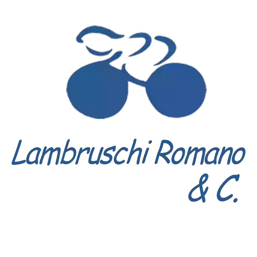 Cicli Lambruschi