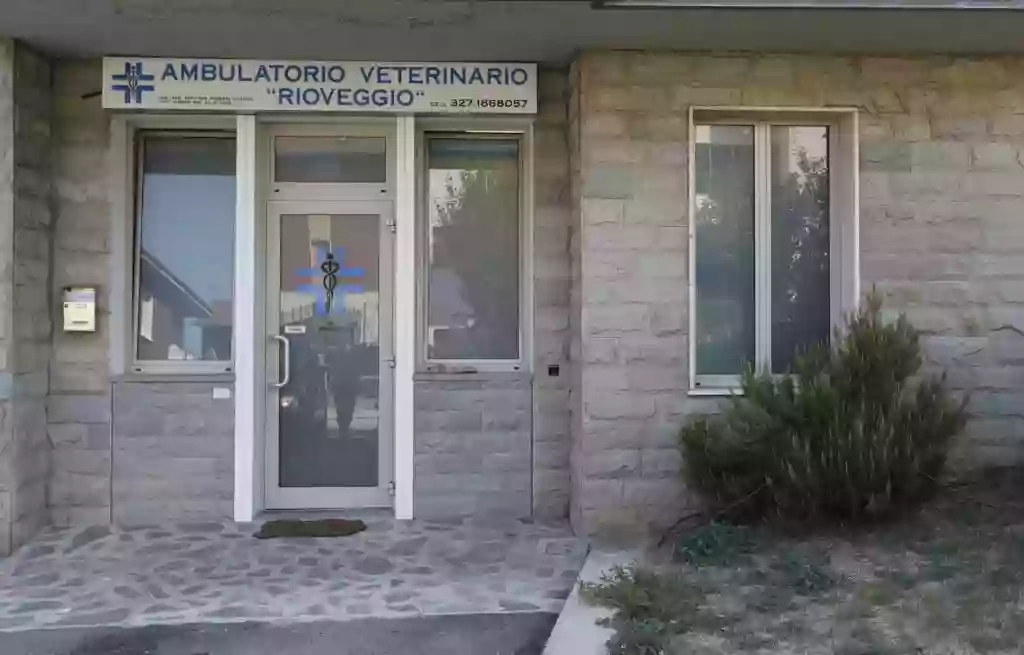 Ambulatorio Veterinario Rioveggio Di Roberta Cossovi