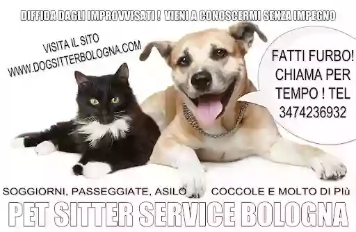 Dog sitter Bologna ★★★★★