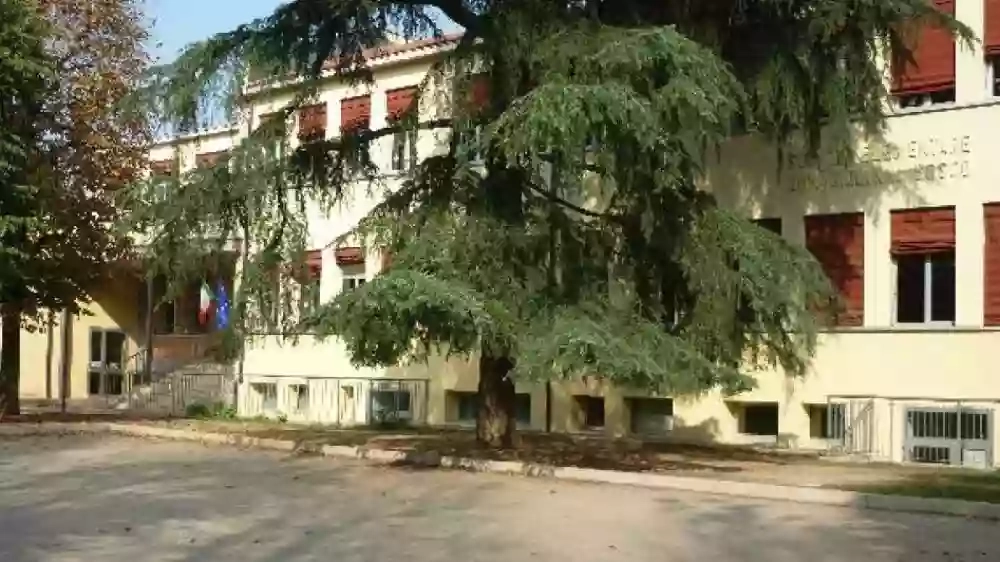 Scuola Primaria Don Bosco