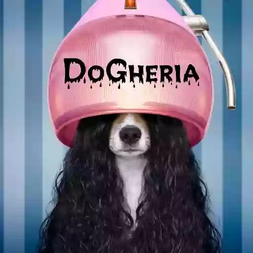 DOGHERIA SPA | Toelettatura e Coccole