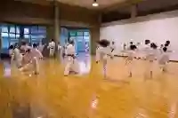 Bushido Karate Forlì