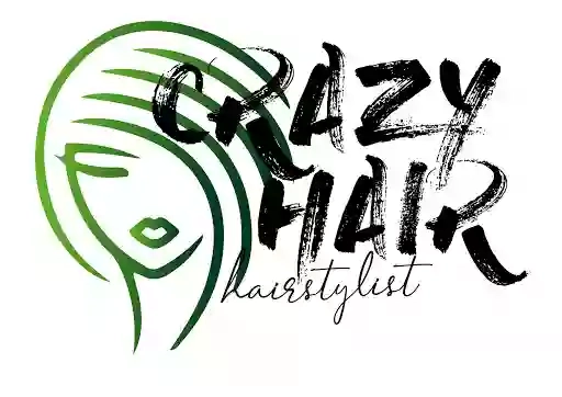 Crazy Hair Hairstylist