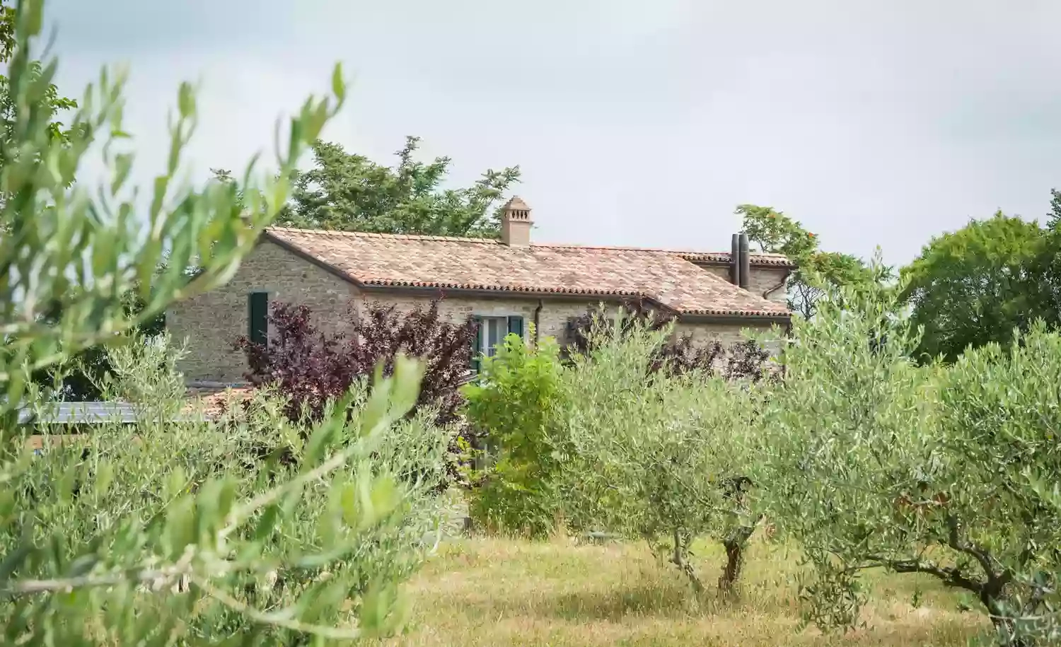 B&B Il Sogno