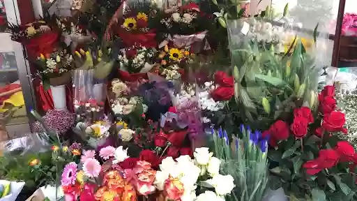 Fiera di Fiori