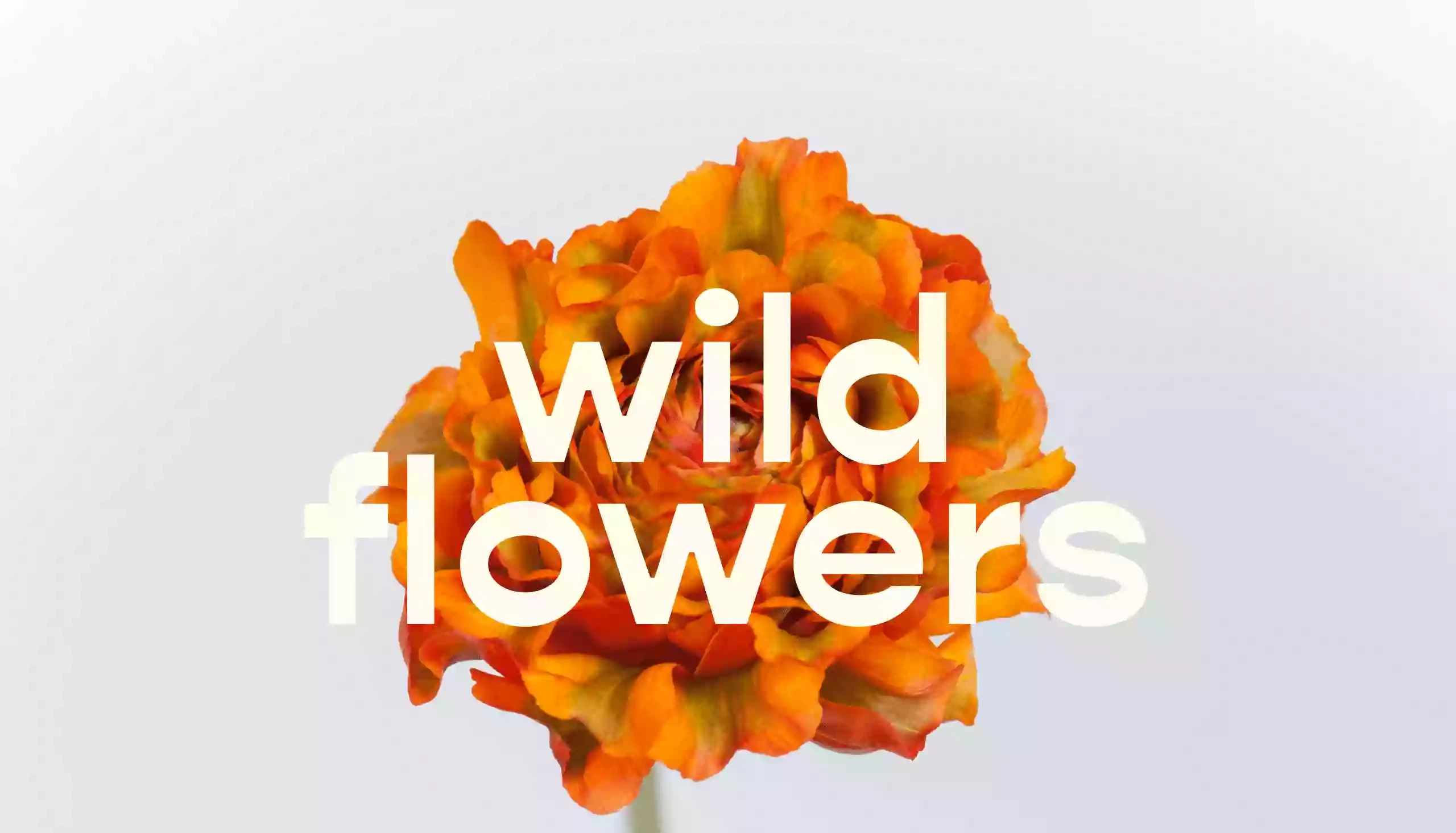 Wildflowers Laboratorio Floreale