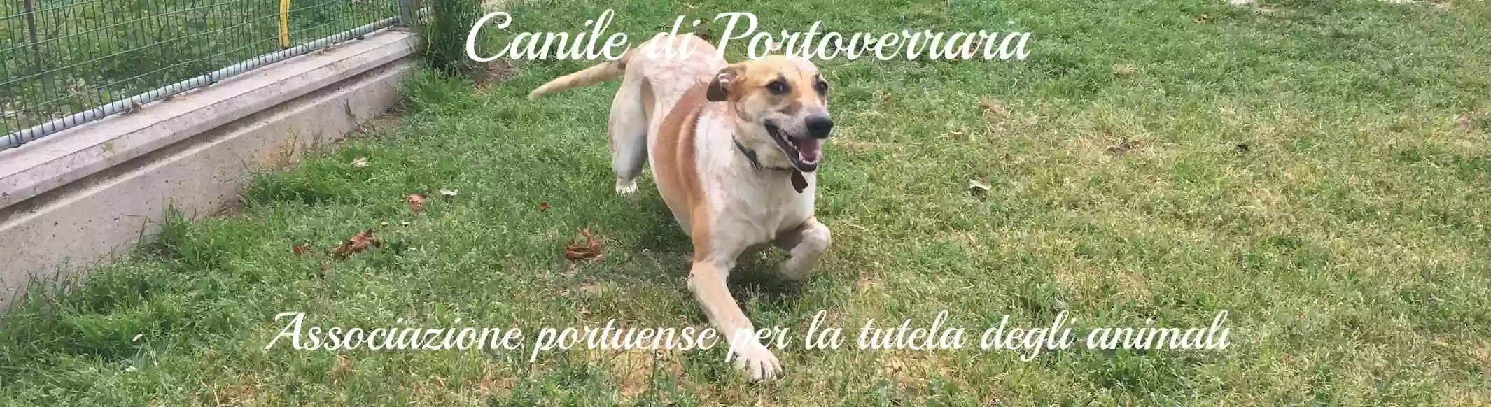 Canile intercomunale di Portoverrara