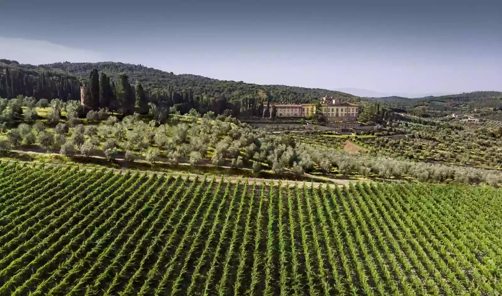 Torre a Cona Tuscan Wine Estate