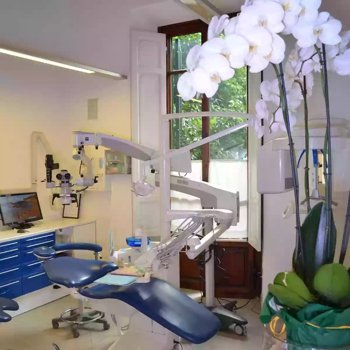 Dental Clinic | Dott. Massimo Frosecchi
