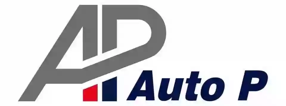 Auto P Service S.R.L.