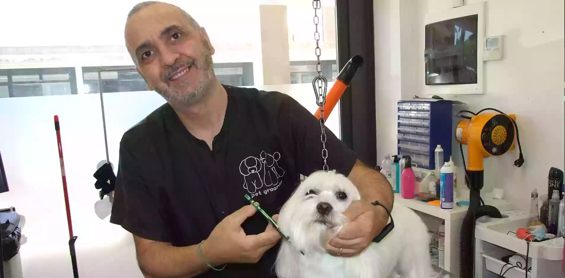 Toelettatura Andrea Pet Grooming