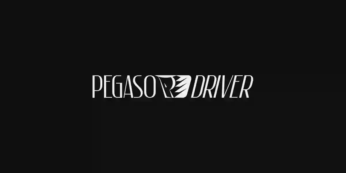 Pegaso Driver