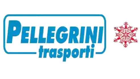 Pellegrini Trasporti