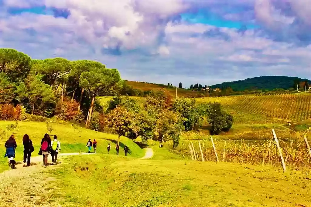 Tuscany Art and Nature - Trekking e visite guidate / Nature, hiking and walking tours