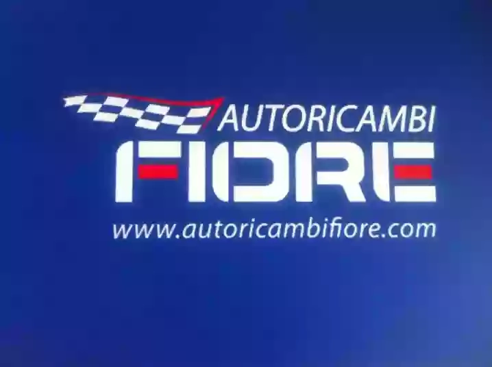 AUTORICAMBI FIORE - Ricambi Auto e moto Adelfia Bari,batterie per auto e moto Bosch,Olio Castrol Selenia rivenditore Bardahl