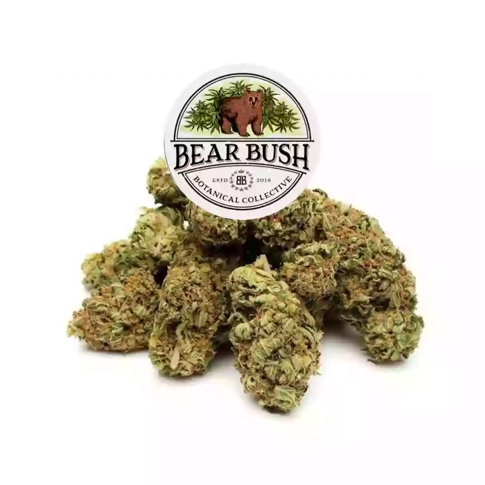 Bear Bush Cannabis Light Shop Self H24 Delivery Dispensary Store Grow & Seed