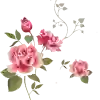 Квіти Черкаси-Магазин квітів RED ROSE-Доставка квітів Черкаси-Цветы Черкассы