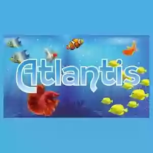 “Atlantis” Floridia, Toelettatura Cani, Mangimi, Vendita Uccelli Pesci Tartarughe, Ornitologia, Acquariofilia, Parafarmaci